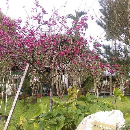 Sun Moon Lake Wild Flower Bed and Breakfast Yuchi Esterno foto