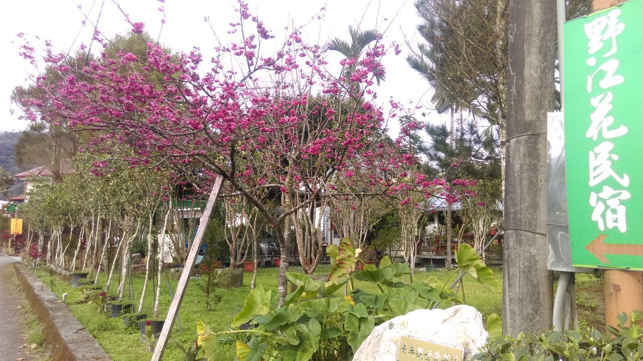 Sun Moon Lake Wild Flower Bed and Breakfast Yuchi Esterno foto