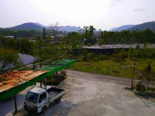 Sun Moon Lake Wild Flower Bed and Breakfast Yuchi Esterno foto